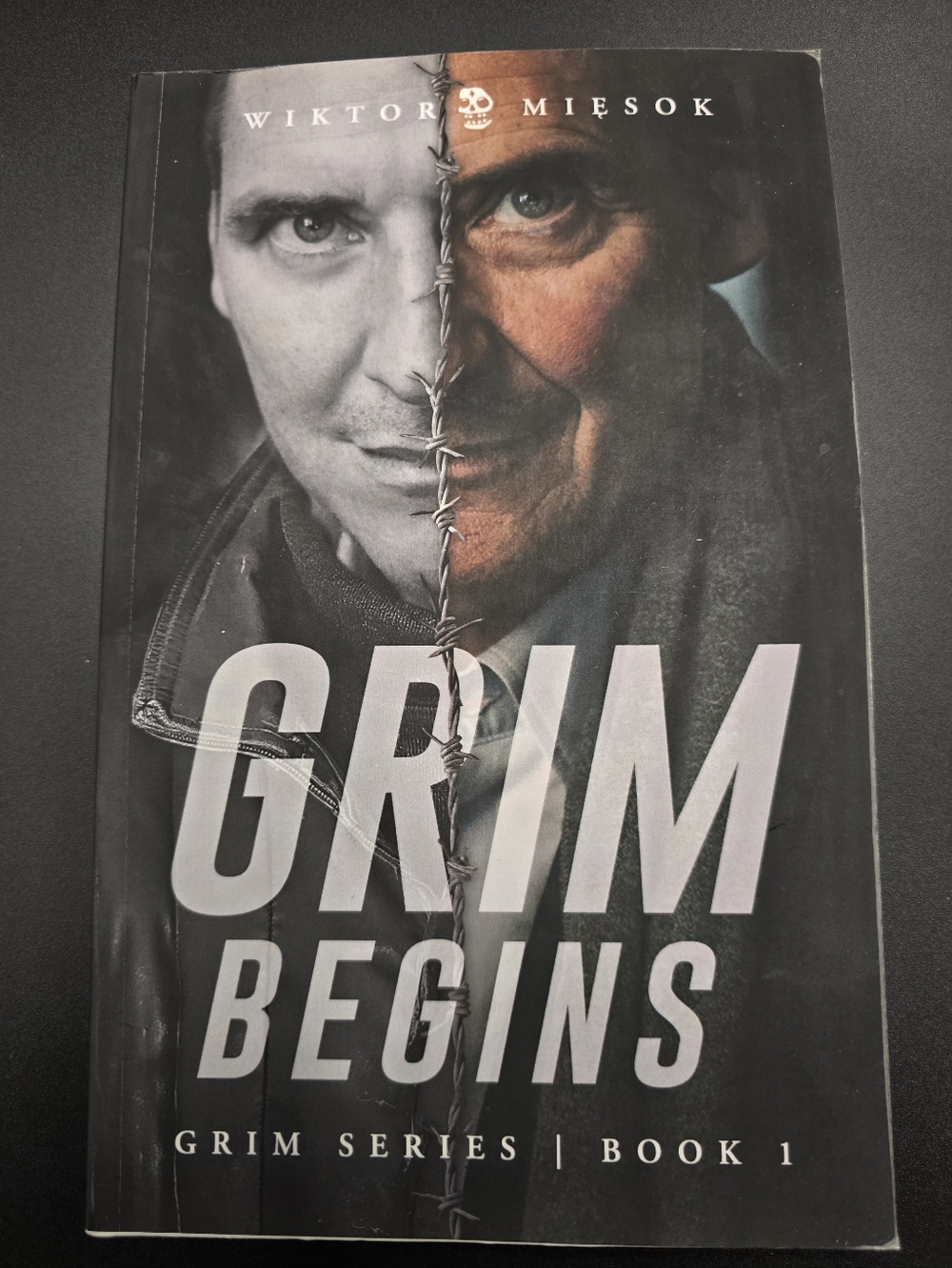 Grim Begins: Grim Series Book 1 Grim Series by Wiktor Miesok and Felix Charin